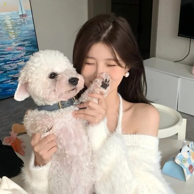 爱芯 第二季