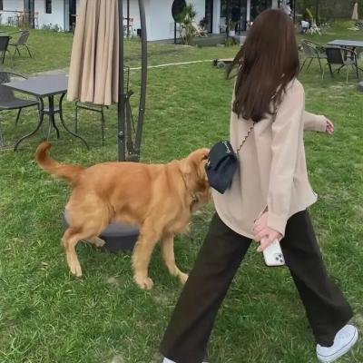 暗色天堂